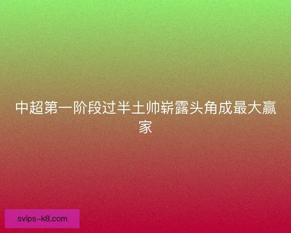 中超第一阶段过半土帅崭露头角成最大赢家 中超第一阶段过半土帅崭露头角成最大赢家