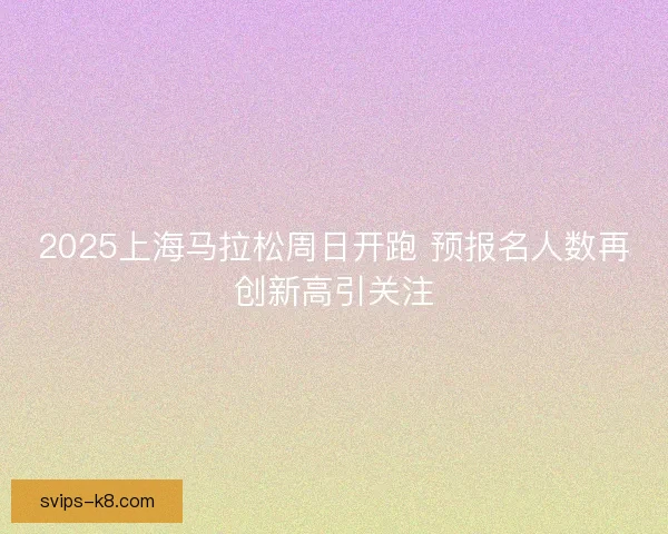 2025上海马拉松周日开跑 预报名人数再创新高引关注 2025上海马拉松周日开跑 预报名人数再创新高引关注